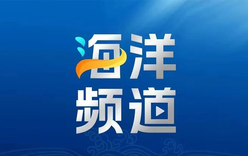  年產(chǎn)量超過20噸 產(chǎn)值超過3億元丨山東助力“小海馬”走上“大產(chǎn)業(yè)”、“大健康”高質(zhì)量發(fā)展之路